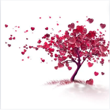 Rejuvenate Love & Marriage Report